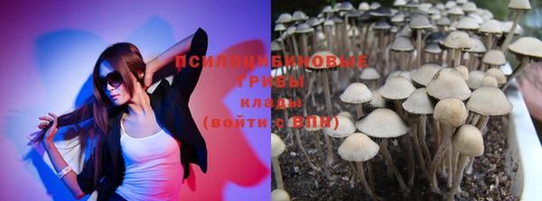 Альфа ПВП Вяземский