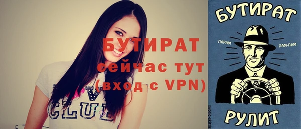дмт Бородино