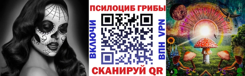 купить наркотик  Звенигород  Псилоцибиновые грибы мицелий 